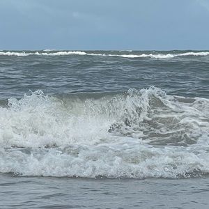 Meet your Posher, Cassidy